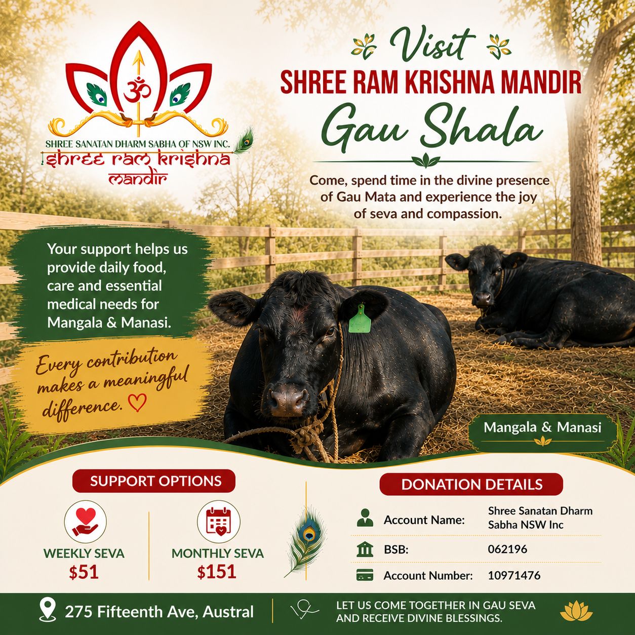 Our Sacred Gau Shala – Home to Mangala & Mansi